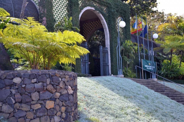 Ботанический сад Тенерифе (Botanical Garden Tenerife)