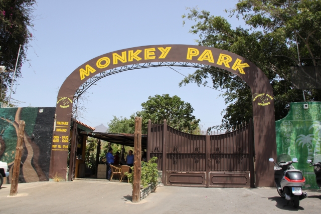 Парк Обезьян или Манки парк (Monkey Park Tenerife)